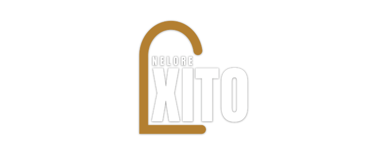 Logo Nelore Xito