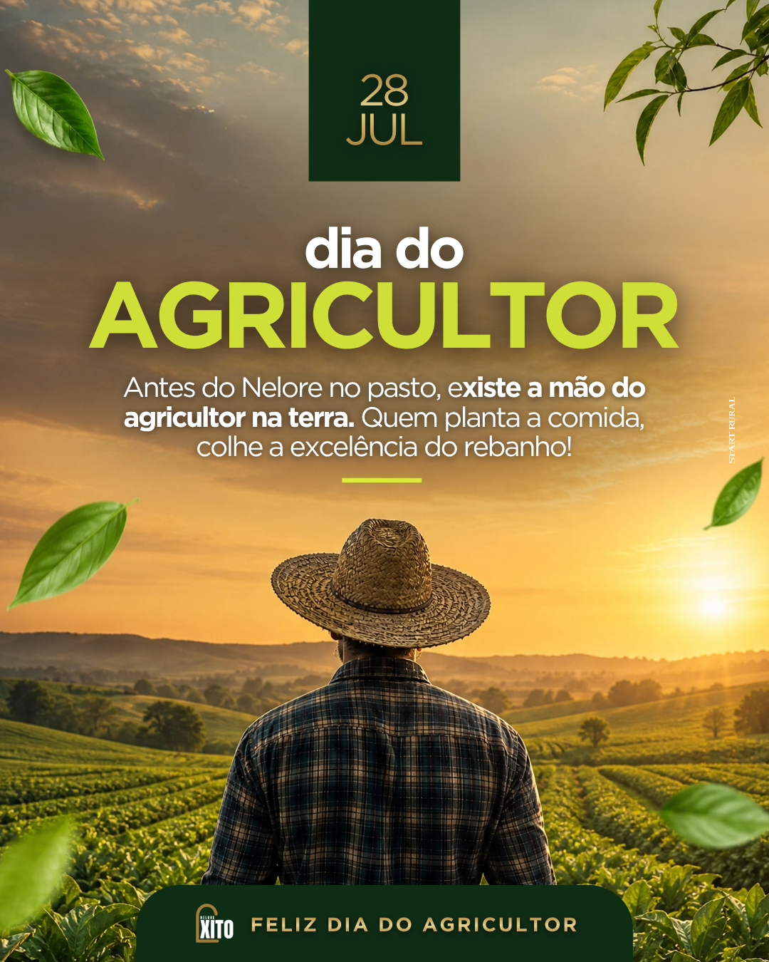 Criativo produzido pela V3 Impulsionar — Nelore Xito — Dia do Agricultor